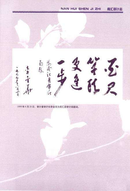 《南汇审计志》.pdf电子版_上海市志预览图2