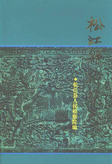 《松江县检察志》.pdf电子版_上海市志缩略图