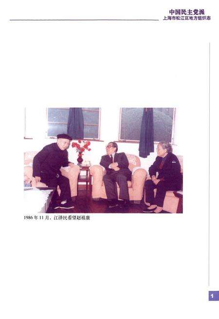 《中国民主党派上海市松江区地方组织志》.pdf电子版_上海市志预览图3