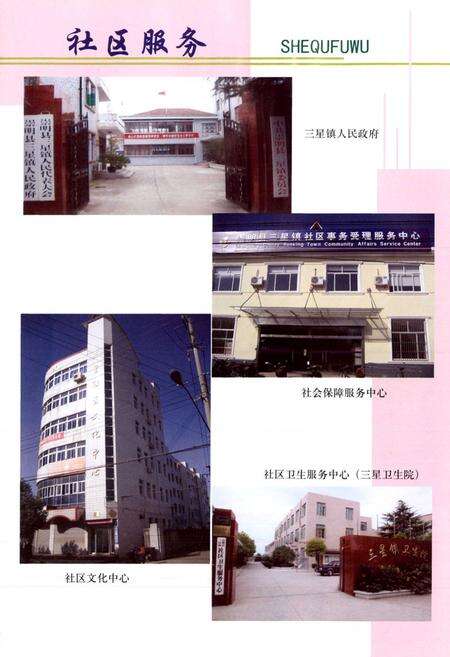 《三星镇志》.pdf电子版_上海市志预览图4