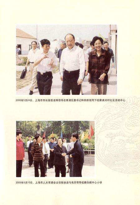 《白鹤志》.pdf电子版_上海市志预览图4