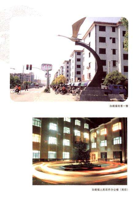 《白鹤志》.pdf电子版_上海市志预览图5