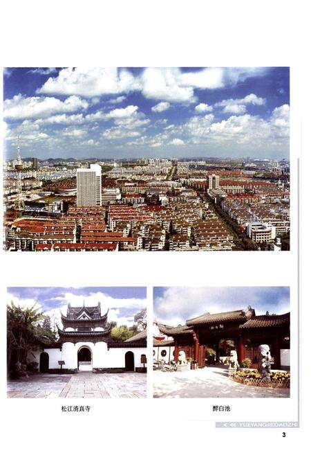 《岳阳街道志》.pdf电子版_上海市志预览图4