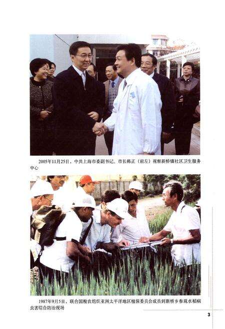 《新桥镇志》.pdf电子版_上海市志预览图4