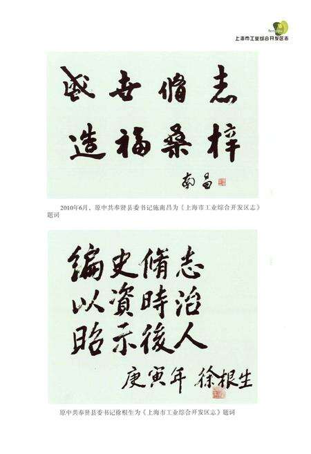 《上海市工业综合开发区志》.pdf电子版_上海市志预览图4