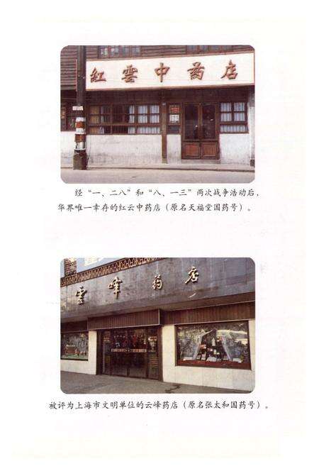 《闸北区中药行业志》.pdf电子版_上海市志预览图5