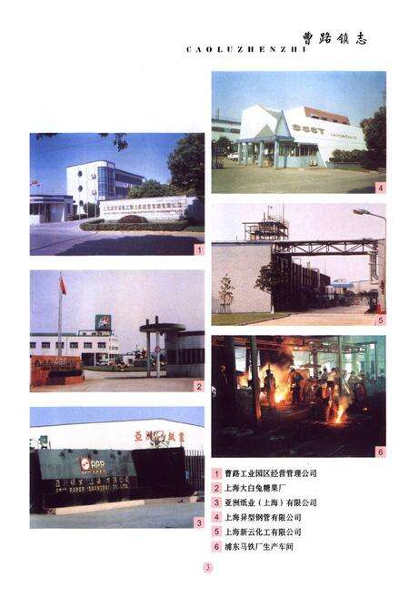 《曹路镇志》.pdf电子版_上海市志预览图4