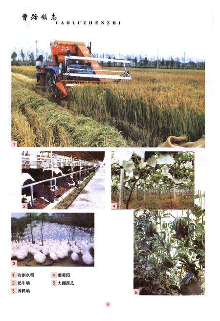 《曹路镇志》.pdf电子版_上海市志预览图5