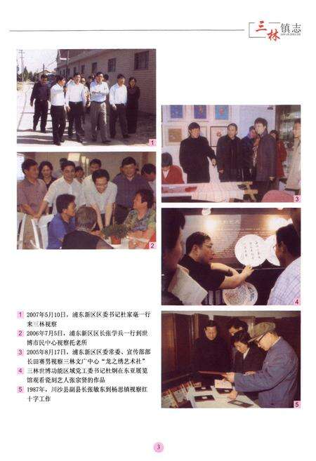 《三林镇志(1985-2003)》.pdf电子版_上海市志预览图3