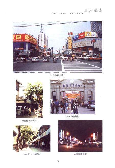 《川沙镇志》.pdf电子版_上海市志预览图5