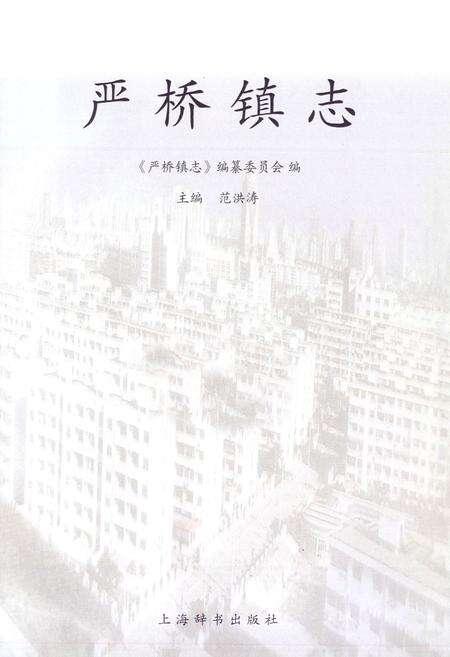 《严桥镇志》.pdf电子版_上海市志预览图1