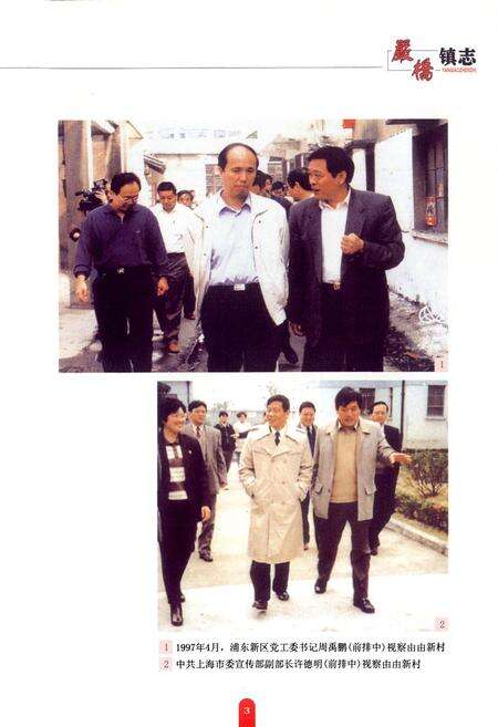 《严桥镇志》.pdf电子版_上海市志预览图4