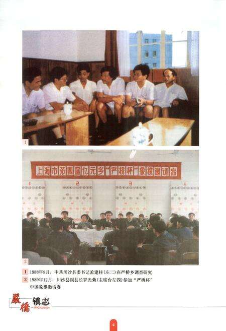 《严桥镇志》.pdf电子版_上海市志预览图5