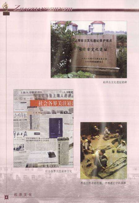 《赵巷镇志》.pdf电子版_上海市志预览图5