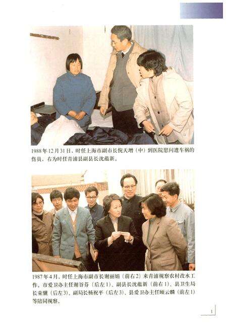 《青浦卫生志(续)》.pdf电子版_上海市志预览图5