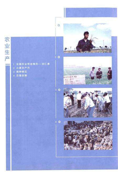 《徐泾志(第一卷)》.pdf电子版_上海市志预览图4