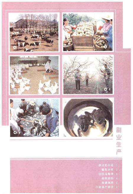 《徐泾志(第一卷)》.pdf电子版_上海市志预览图5