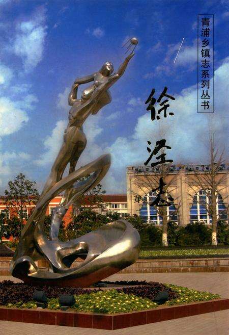 《徐泾志(第二卷)》.pdf电子版_上海市志缩略图