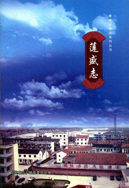 《莲盛志》.pdf电子版_上海市志缩略图