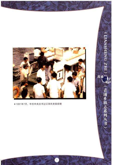 《莲盛志》.pdf电子版_上海市志预览图2