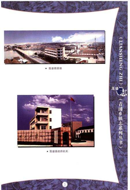 《莲盛志》.pdf电子版_上海市志预览图4