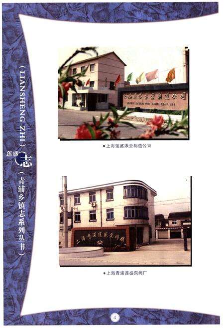 《莲盛志》.pdf电子版_上海市志预览图5