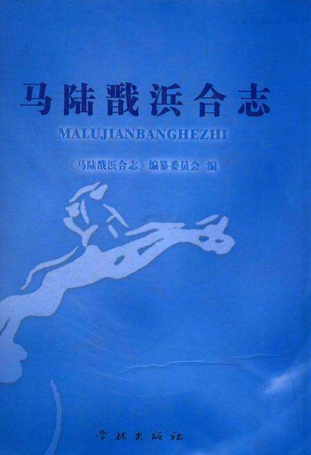 《马陆戬浜合法(1990-2007)》.pdf电子版_上海市志缩略图