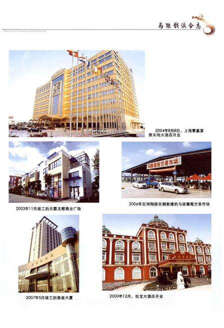 《马陆戬浜合法(1990-2007)》.pdf电子版_上海市志预览图4