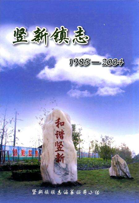 《竖新镇志(1985-2004)》.pdf电子版_上海市志缩略图