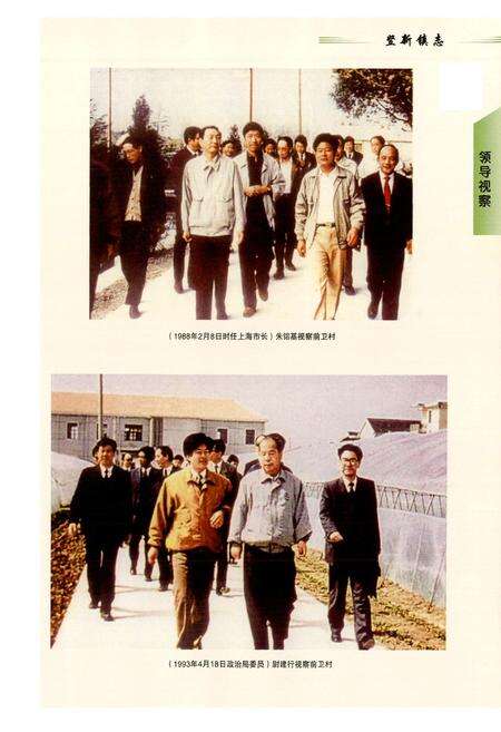《竖新镇志(1985-2004)》.pdf电子版_上海市志预览图4
