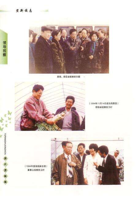 《竖新镇志(1985-2004)》.pdf电子版_上海市志预览图5