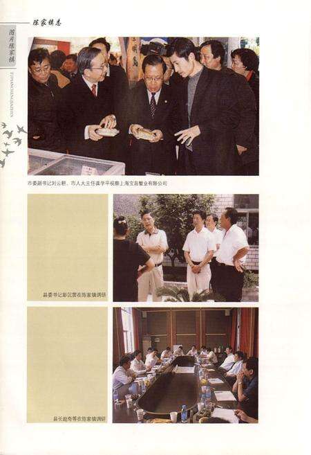 《陈家镇志(1985-2004)》.pdf电子版_上海市志预览图5