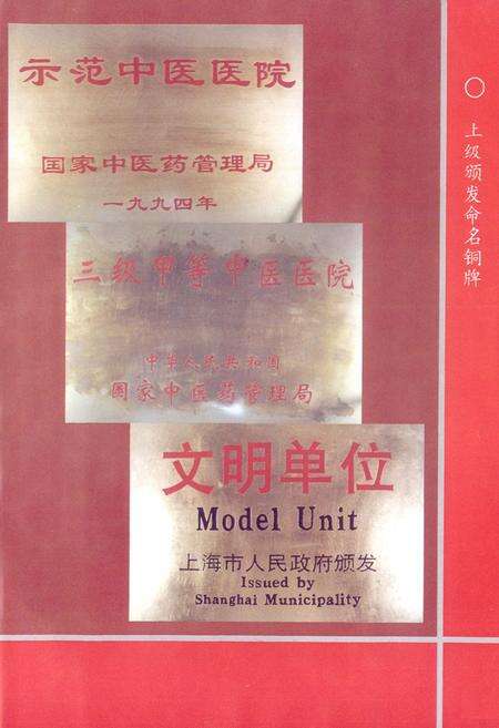 《上海中医药大学附属曙光医院志(1922-1994)》.pdf电子版_上海市志预览图5
