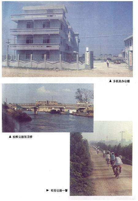 《松隐志》.pdf电子版_上海市志预览图4