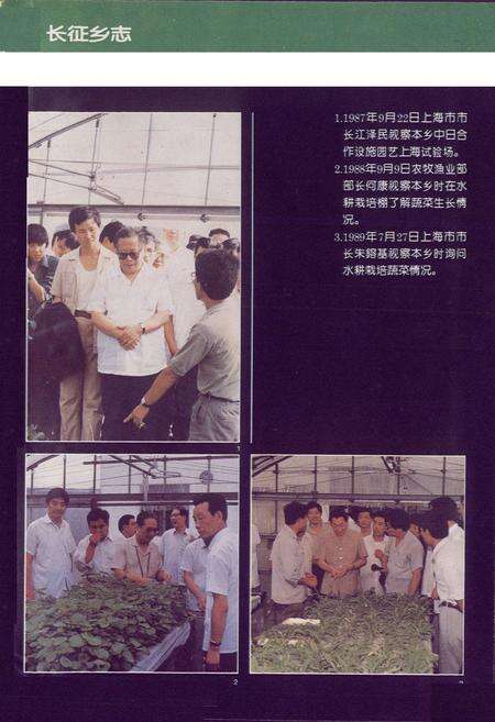 《长征乡志》.pdf电子版_上海市志预览图2