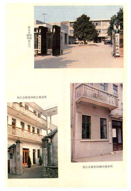《松江县财政税务志》.pdf电子版_上海市志预览图5