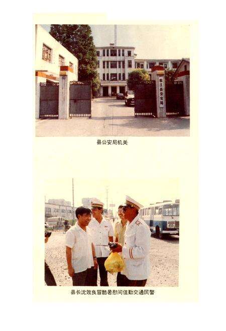 《松江县公安志》.pdf电子版_上海市志预览图2