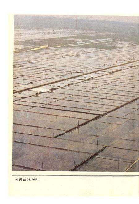 《奉贤盐政志》.pdf电子版_上海市志预览图1