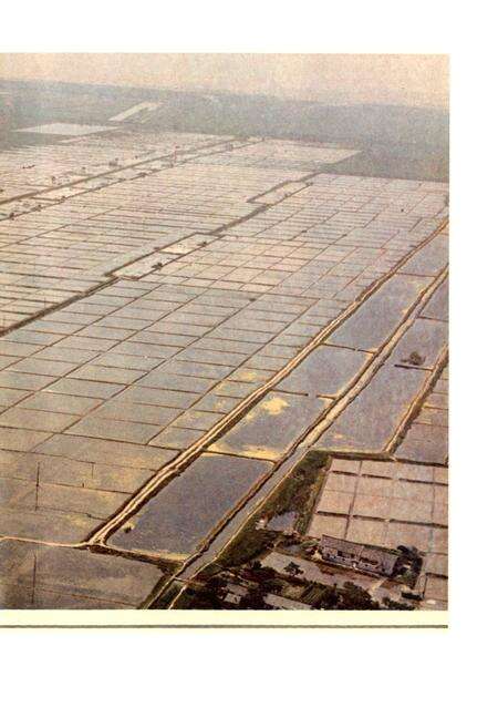 《奉贤盐政志》.pdf电子版_上海市志预览图2