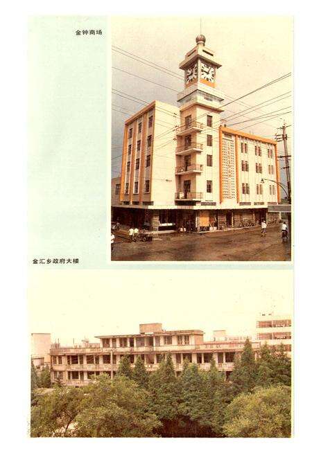 《金汇志》.pdf电子版_上海市志预览图2