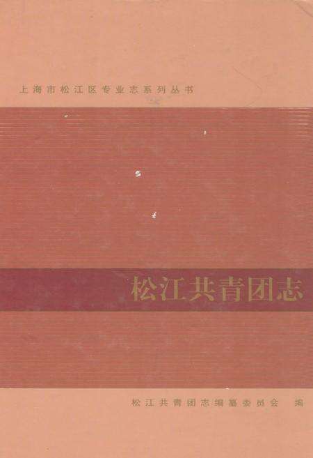 《松江共青团志》.pdf电子版_上海市志缩略图