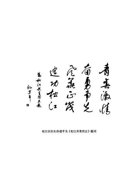 《松江共青团志》.pdf电子版_上海市志预览图5