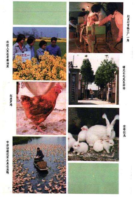 《江海志》.pdf电子版_上海市志预览图5