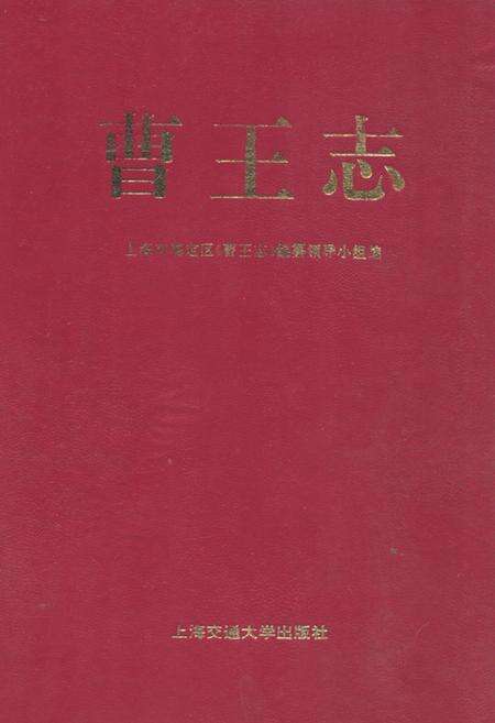 《曹王志》.pdf电子版_上海市志缩略图