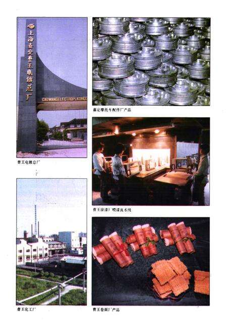 《曹王志》.pdf电子版_上海市志预览图5