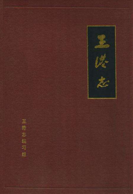 《王港志》.pdf电子版_上海市志缩略图