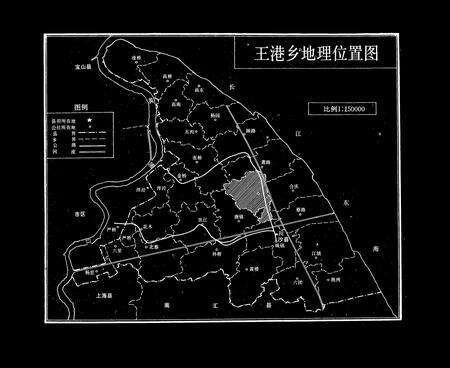 《王港志》.pdf电子版_上海市志预览图1