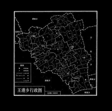 《王港志》.pdf电子版_上海市志预览图4