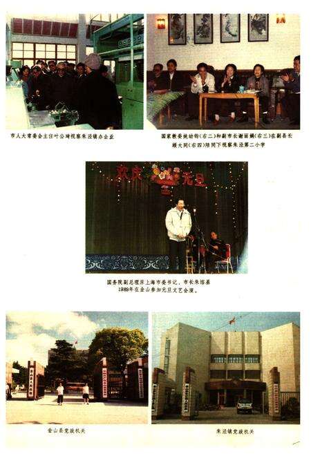 《朱泾镇志》.pdf电子版_上海市志预览图2