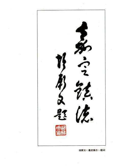 《嘉定镇志》.pdf电子版_上海市志预览图2